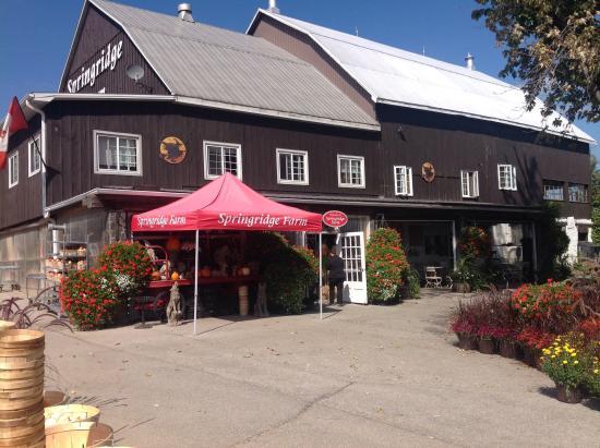 Springridge Farm